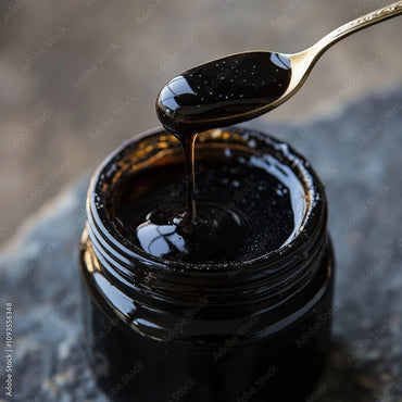 Himalayan Shilajit 20g